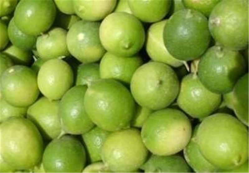 قیمت عمده فروشی لیمو ترش و شیرین تا 29 هزار تومان بالا رفت+ نرخ انواع میوه