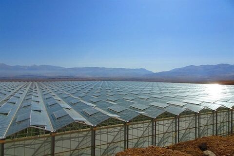 احداث بزرگ ترین پروژه کشت گلخانه ای شیشه ای مدرن خاورمیانه