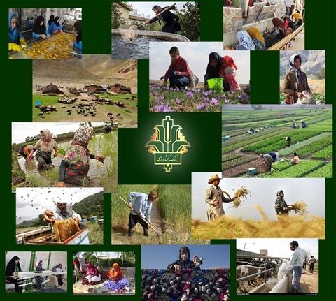ایجاد بیش از ۱۵۰۰ شغل جدید با حمایت بانک کشاورزی استان بوشهر