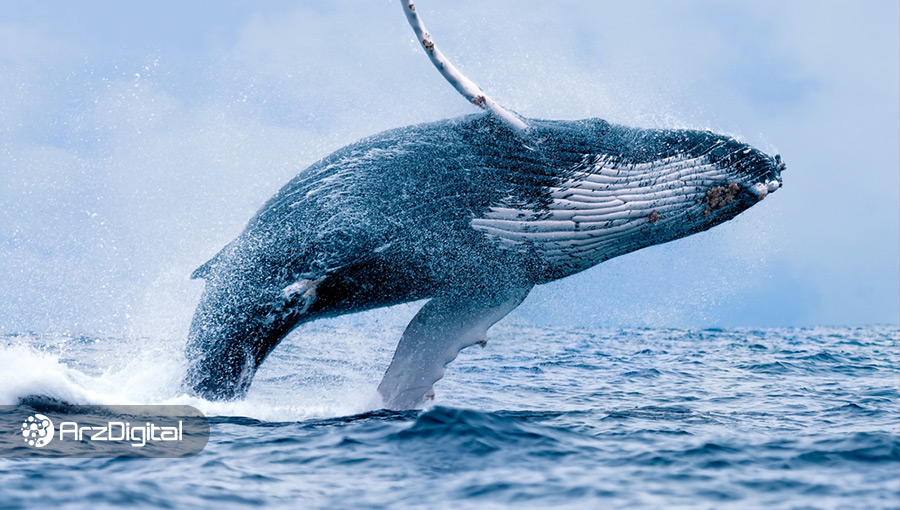 نهنگ‌های بیت کوین در اوج قیمت بیش از ۱۴۰,۰۰۰ بیت کوین فروخته‌اند