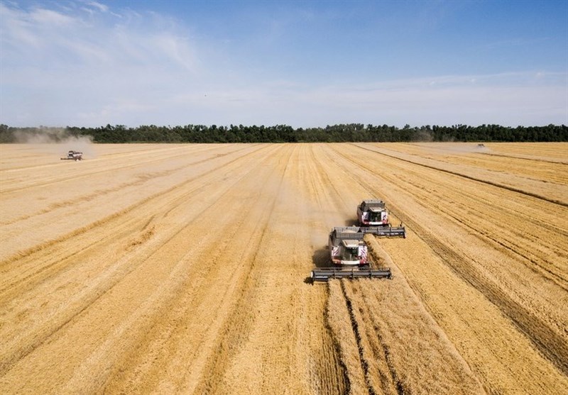 روسیه محصولات کشاورزی خود را فقط به "کشورهای دوست" صادر می‌کند