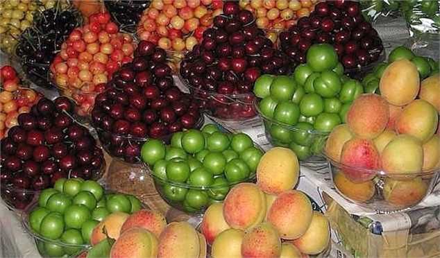میوه ارزان شد/  زردآلو ۹۰ هزار تومان