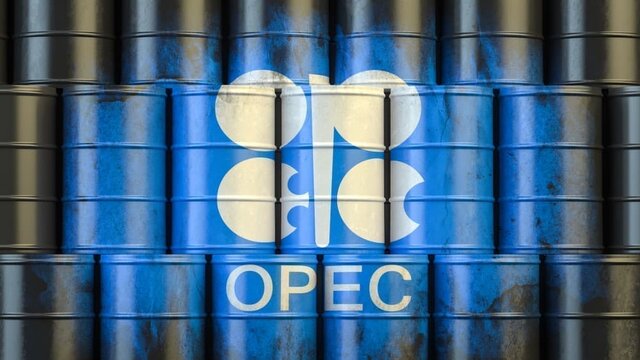 اوپک هشدار داده است که توقف سرمایه‌گذاری در صنعت نفت و گاز به زیان بخش محسوب می‌شود.