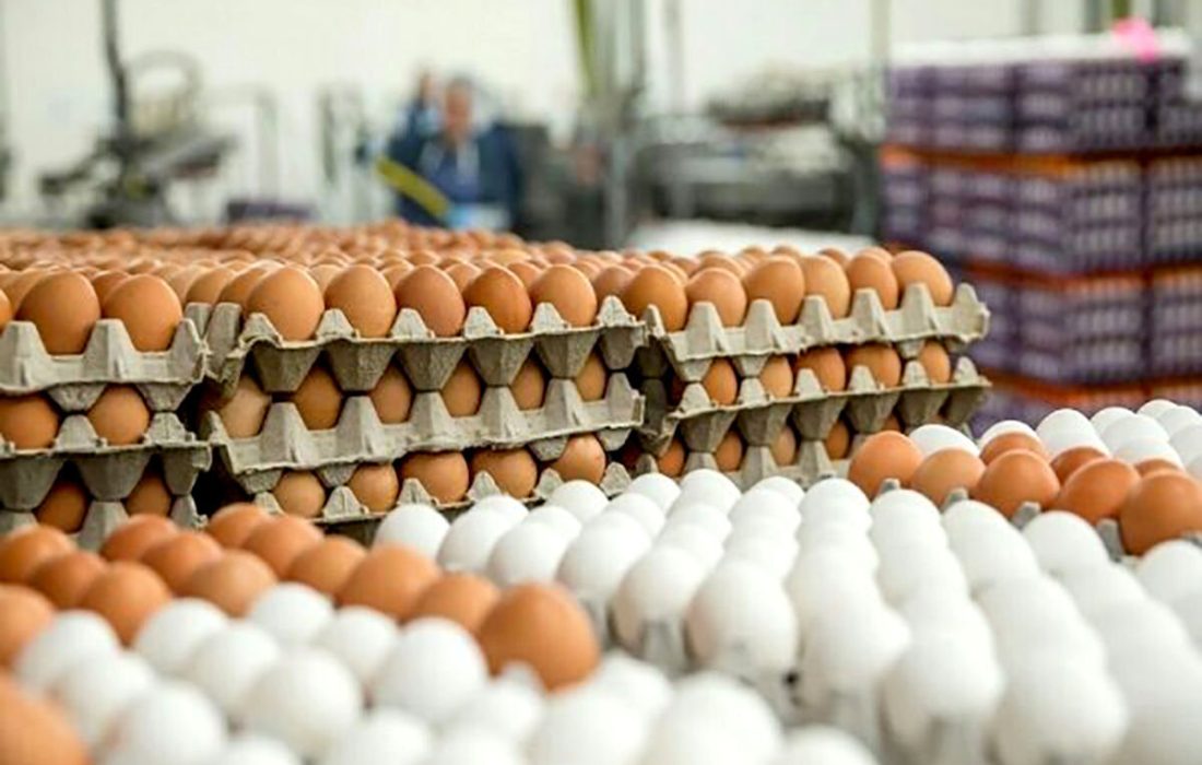 افزایش قیمت تخم مرغ: باز هم گرانی در بازار