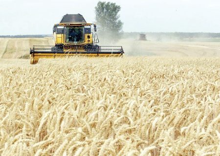 آخرین خبرها از پرداخت مطالبات کشاورزان و گندمکاران