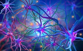 بیهوشی دارویی عملکرد مغز کودکان را تهدید نمی‌کند