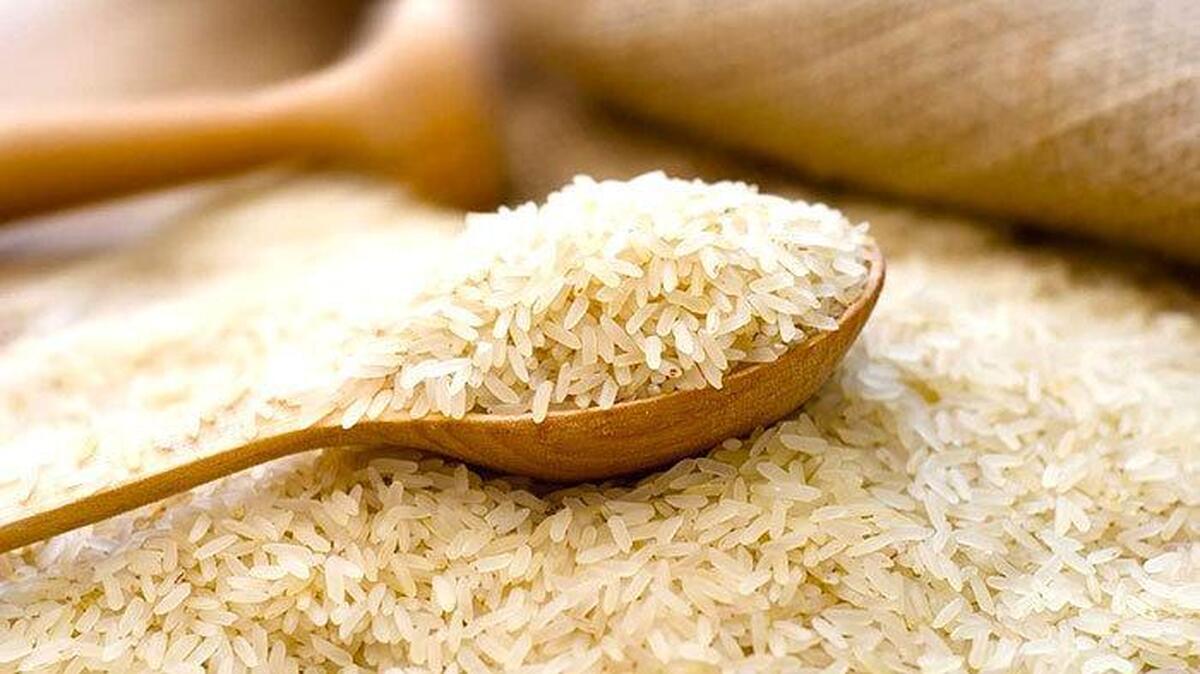 قیمت روز برنج هندی ۱۴۰۴/۳/۱۱ | برنج هایلی کیلویی چند شد