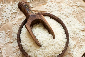 خبر تازه درباره برنج؛ فصل فروش و شرایط کشاورزان بررسی شد