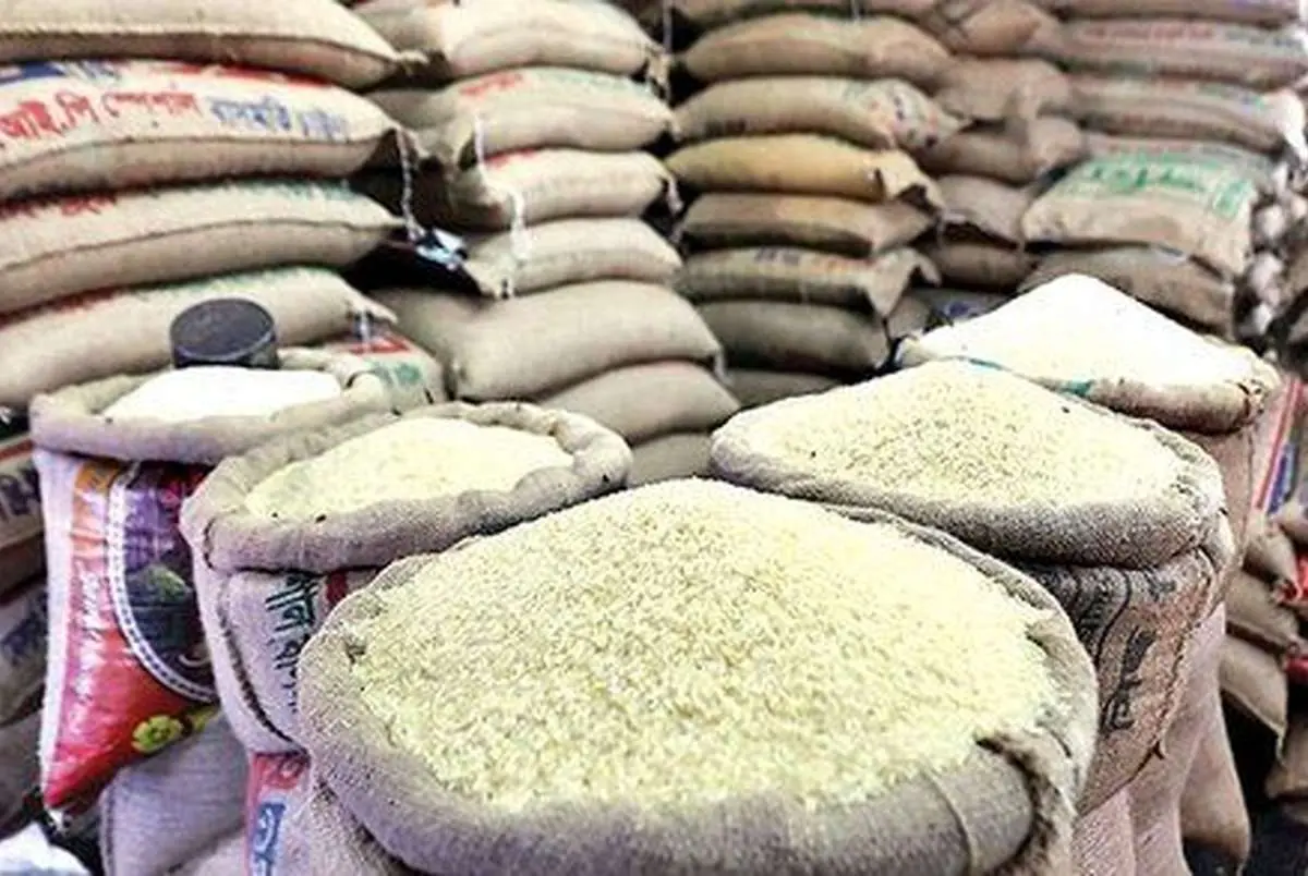 کاهش قیمت برنج هنوز روی زمین مانده؛ وعده وزیر جهاد کشاورزی عملی نشد