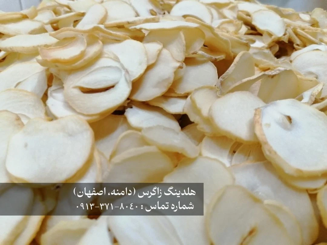 موسیر دامنه