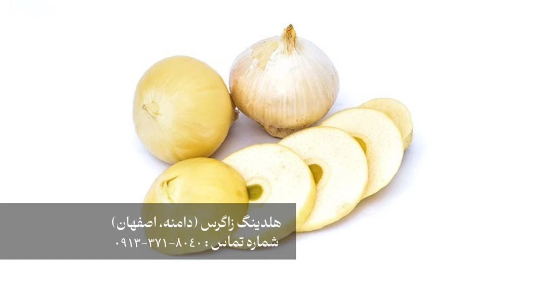 موسیردشتی