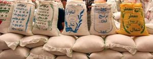 برنج در مدار گرانی؛ دولت همچنان در نقش ناظر