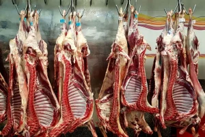 واردات گوشت برزیلی و پاکستانی آغاز شد | قیمت گوشت تنظیم بازاری اعلام شد