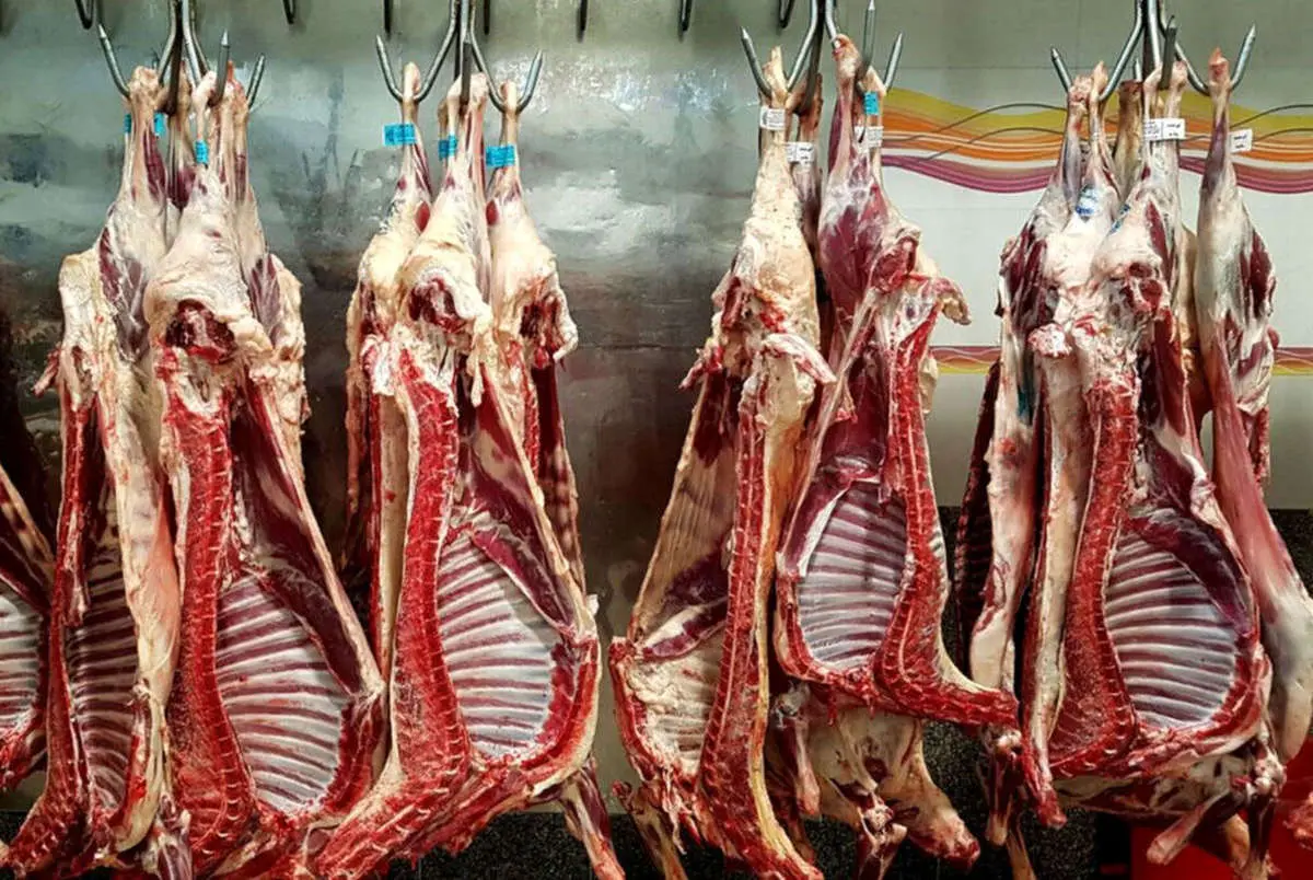 واردات گوشت برزیلی و پاکستانی آغاز شد | قیمت گوشت تنظیم بازاری اعلام شد