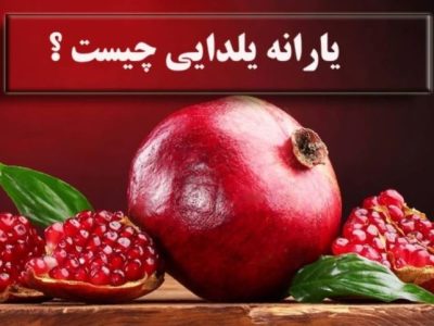 جزئیات تازه از یارانه یلدایی؛ خبر مهم برای خانوارها