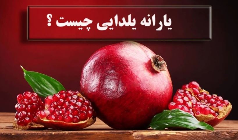 جزئیات تازه از یارانه یلدایی؛ خبر مهم برای خانوارها