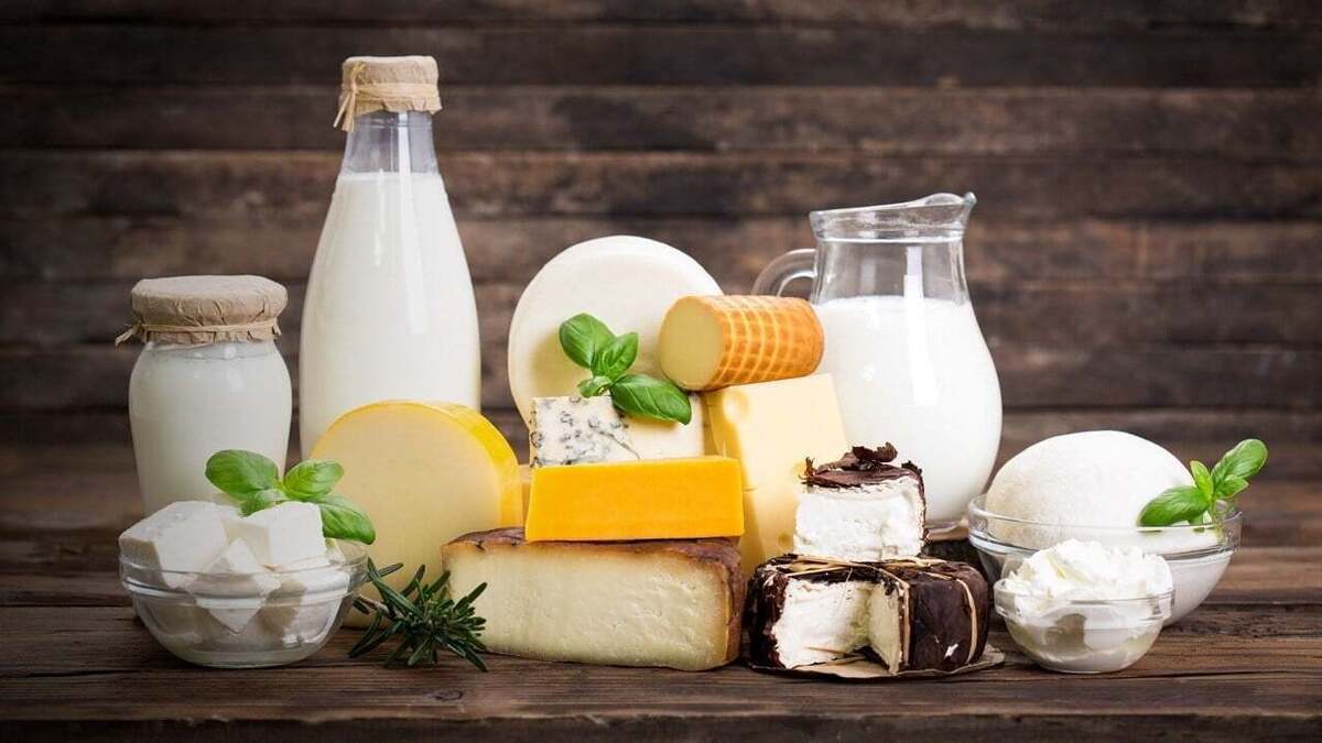 تصمیم جدید دولت برای شیر خام؛ آیا قیمت لبنیات کاهش می‌یابد