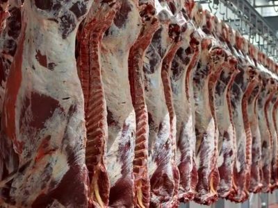 واردات گوشت قرمز افزایش مییابد؛ نگرانی از کمبود در ماه رمضان رفع شد