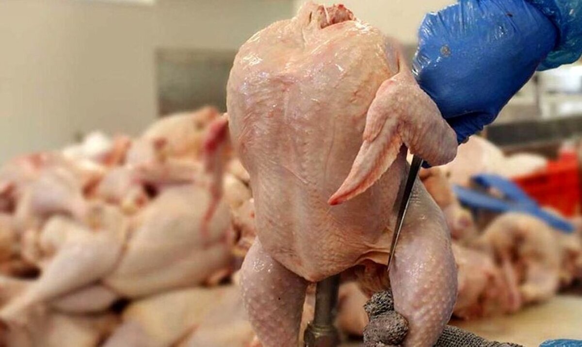 فیله مرغ طعمدار، قیمتها را به اوج رساند؛ نرخ روز در میادین