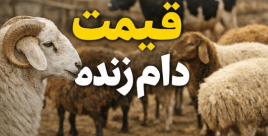 نرخ گوسفند زنده امروز ۲۷ بهمن منتشر شد