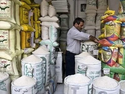 قیمت برنج بالا و پایین میشود؛ پایان گرانی چه زمانی است