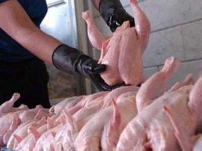 نگاهی به قیمت مرغ در بازار امروز