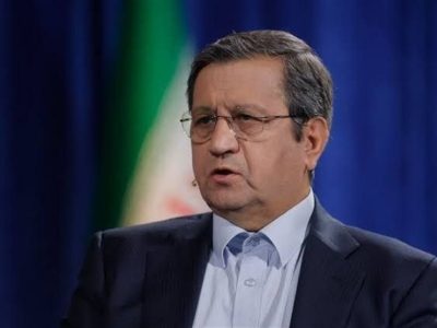 همتی: هیچ اجبار قانونی برای خرید نهاده‌های کشاورزی از آمریکا وجود ندارد