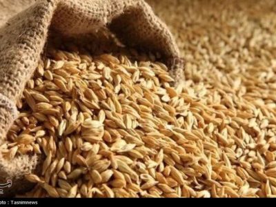 گندم صنف و صنعت با نرخ مصوب 53 هزار تومان تعیین شد