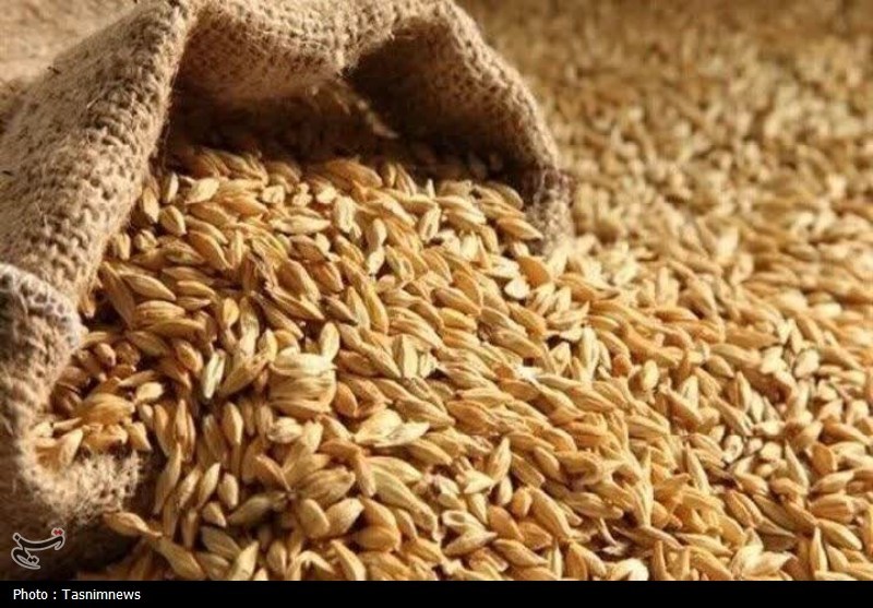 گندم صنف و صنعت با نرخ مصوب 53 هزار تومان تعیین شد