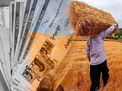 پرداخت ۹۳ هزار میلیارد تومان به گندمکاران تا کنون