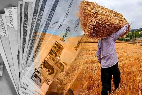 پرداخت ۹۳ هزار میلیارد تومان به گندمکاران تا کنون