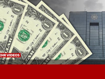 شناسایی ۲۲۵ بدهکار کلان ارزی به نتیجه رسید