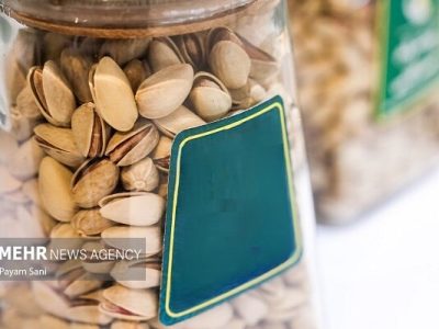 پسته در آستانه ورود به بورس است؛ مسیر سرمایه‌گذاری در طلای سبز آسان‌تر شد