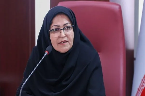 انصاری: صادرات برای تولیدکنندگان قانونمدار تسهیل میشود